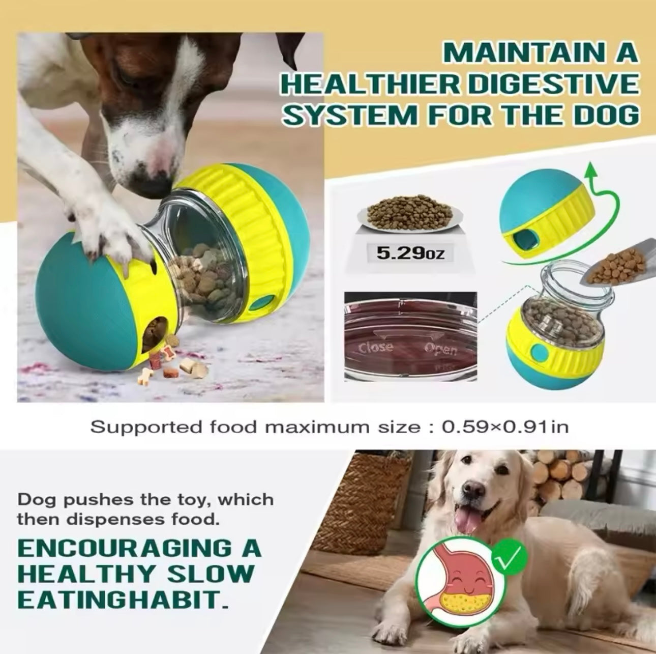 Dog Treat Ball with Elliptical Track – Slow Feeding, IQ Boost, & Stomach Care