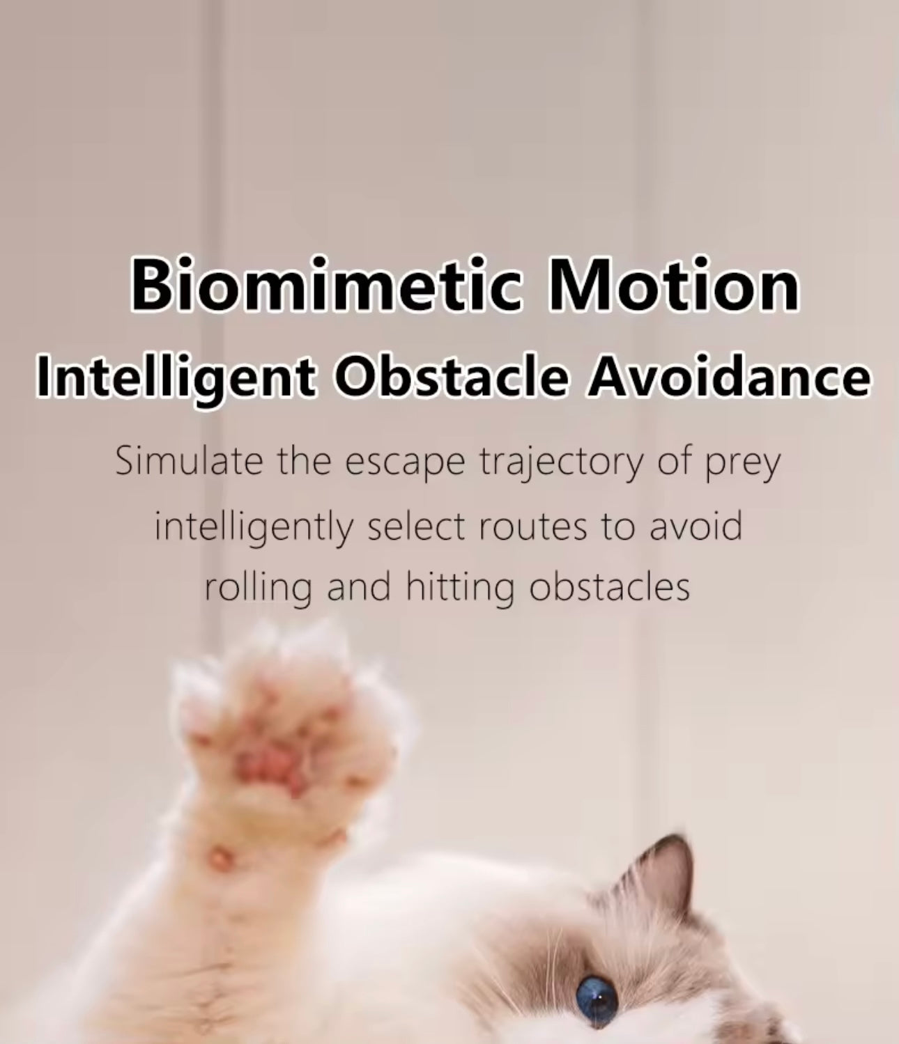 Automatic Moving Cat Toy - Interactive Rolling Rechargeable Ball for Active Pets | Pet Supplies & Accessories